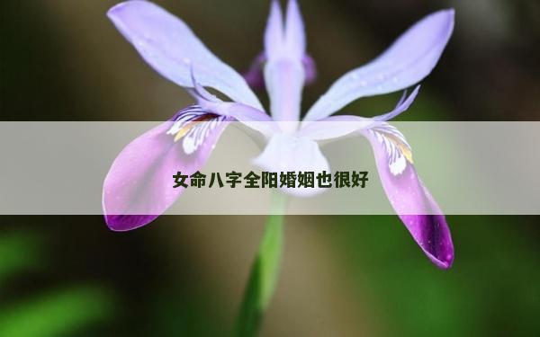 女命八字全陽婚姻也很好