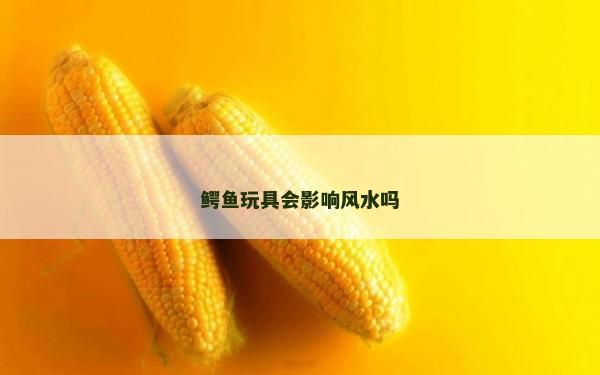 鱷魚玩具會影響風水嗎