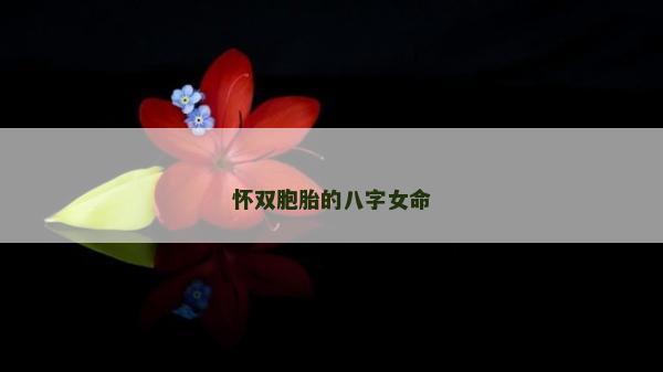 懷雙胞胎的八字女命