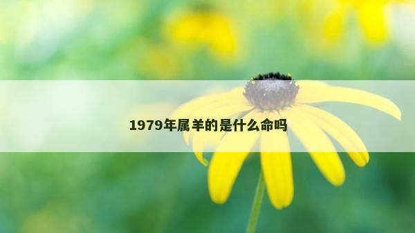 1979年屬羊的是什么命嗎 1979年屬羊的是什么命嗎