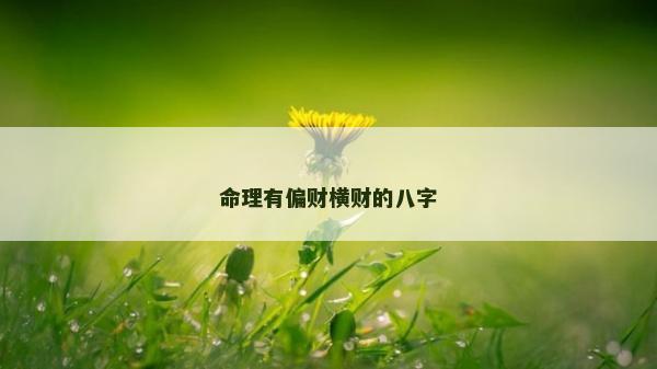 命理有偏財橫財的八字