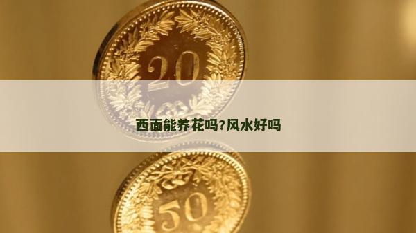 西面能養(yǎng)花嗎?風(fēng)水好嗎