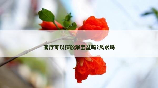 客廳可以擺放聚寶盆嗎?風水嗎