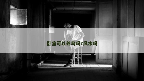 臥室可以養(yǎng)鳥嗎?風(fēng)水嗎
