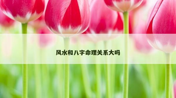 風水和八字命理關系大嗎