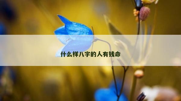 什么樣八字的人有錢命