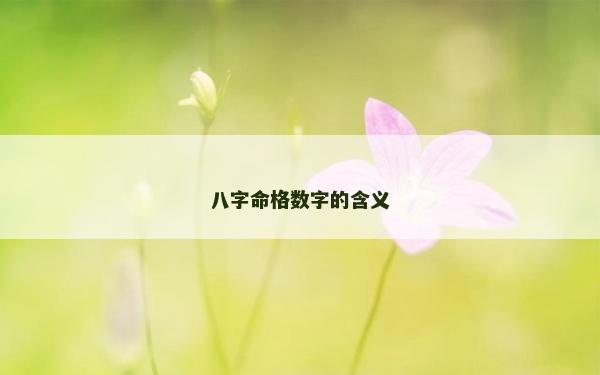八字命格數字的含義