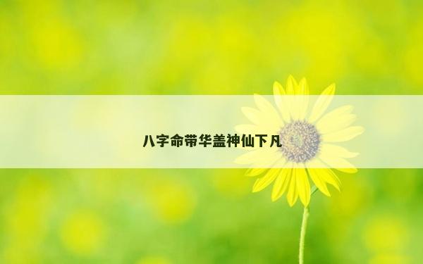 八字命帶華蓋神仙下凡