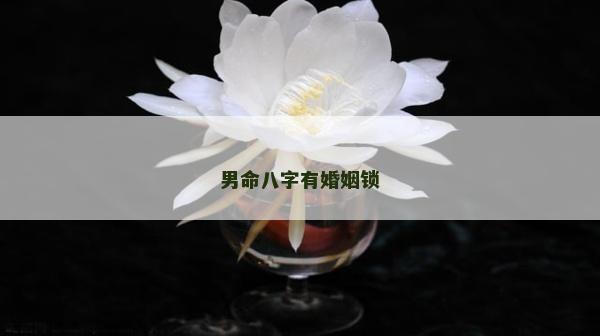 男命八字有婚姻鎖