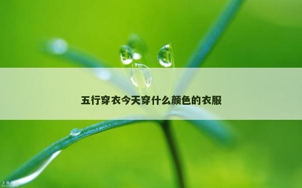 五行穿衣今天穿什么顏色的衣服