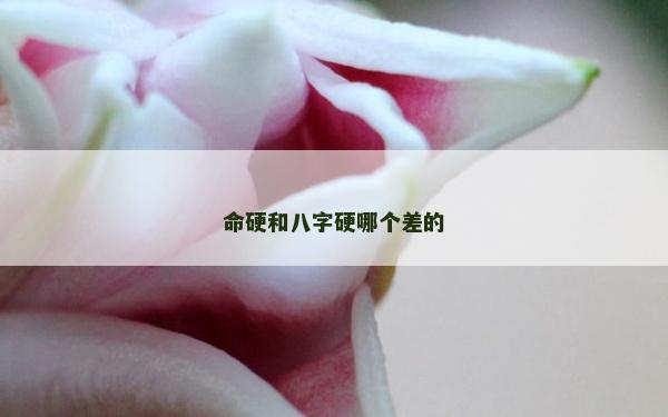 命硬和八字硬哪個差的