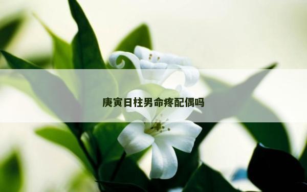 庚寅日柱男命疼配偶嗎