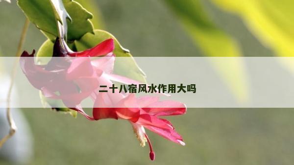 二十八宿風(fēng)水作用大嗎