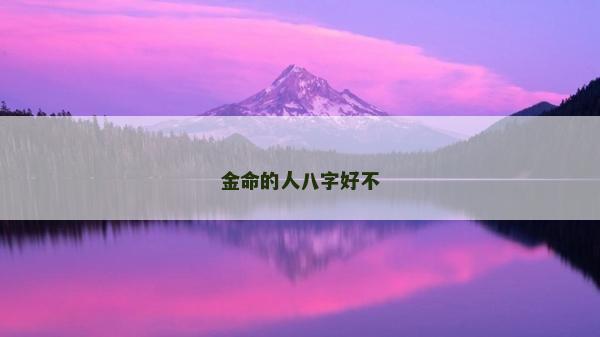 金命的人八字好不