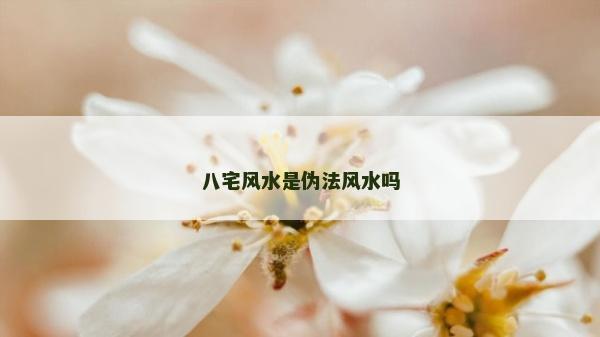 八宅風水是偽法風水嗎