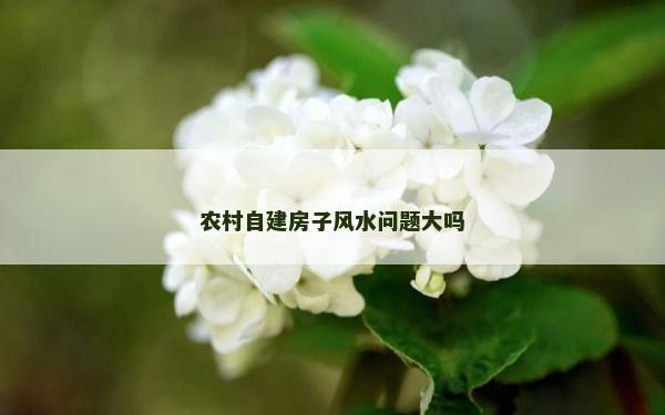 農(nóng)村自建房子風(fēng)水問題大嗎 農(nóng)村自建房子風(fēng)水問題大嗎