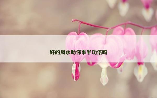 好的風水助你事半功倍嗎