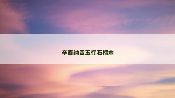 辛酉納音五行石榴木