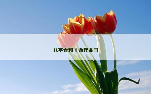 八字看和珅命理準嗎