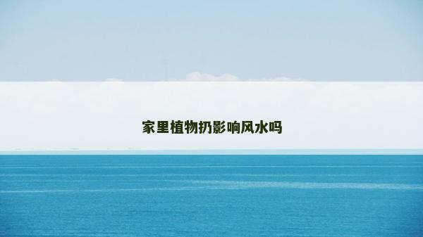 家里植物扔影響風水嗎 家里植物扔影響風水嗎