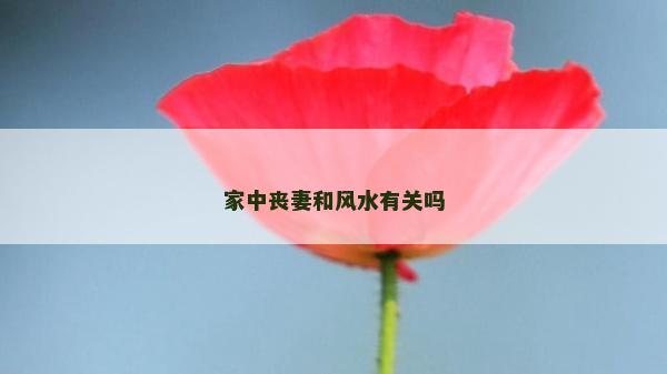 家中喪妻和風(fēng)水有關(guān)嗎 家中喪妻和風(fēng)水有關(guān)嗎