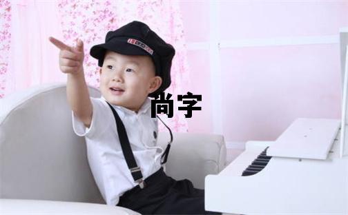 尚字取名的寓意 尚字取名的寓意男孩