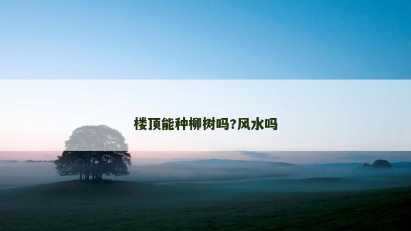 樓頂能種柳樹嗎?風(fēng)水嗎