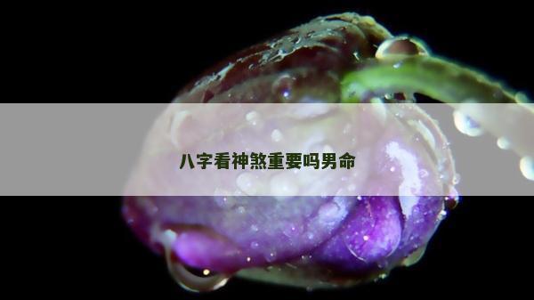 八字看神煞重要嗎男命