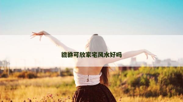 貔貅可放家宅風水好嗎