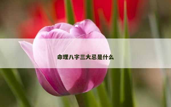 命理八字三大忌是什么
