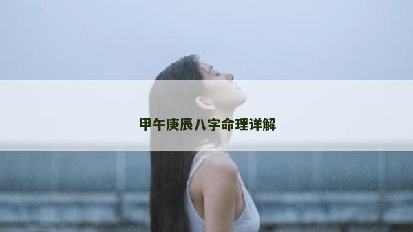 甲午庚辰八字命理詳解