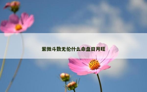 紫微斗數無倫什么命盤日月旺