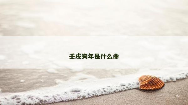 壬戌狗年是什么命