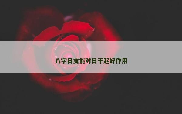 八字日支能對日干起好作用