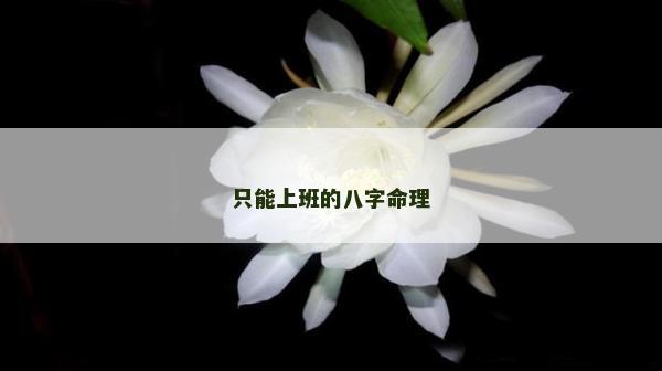 只能上班的八字命理