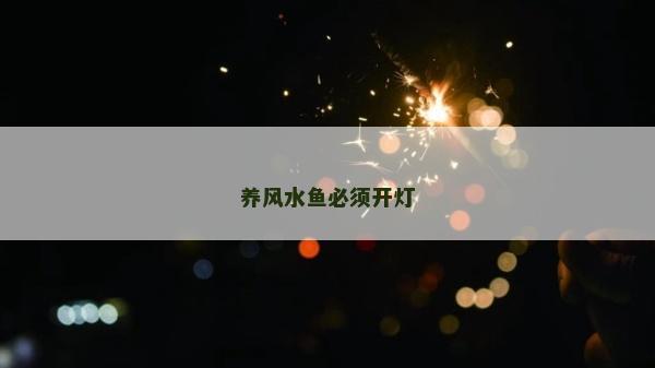 養風水魚必須開燈