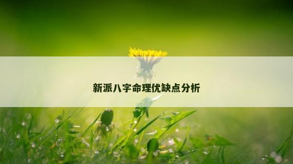 新派八字命理優缺點分析 新派八字命理優缺點分析