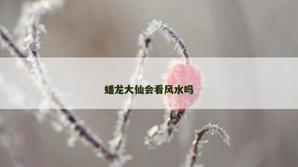蟠龍大仙會看風水嗎