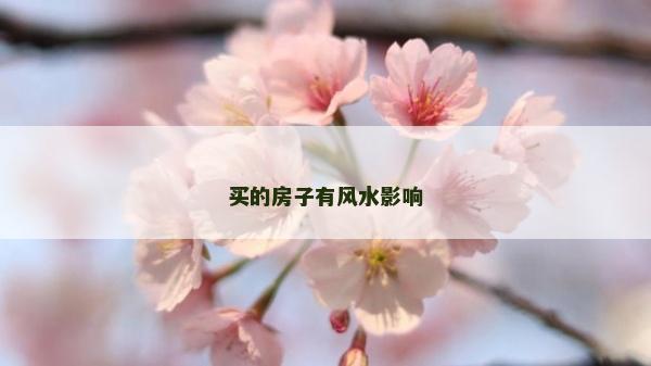 買的房子有風水影響