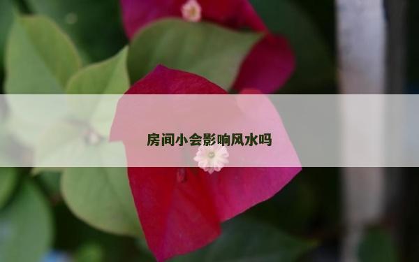 房間小會(huì)影響風(fēng)水嗎