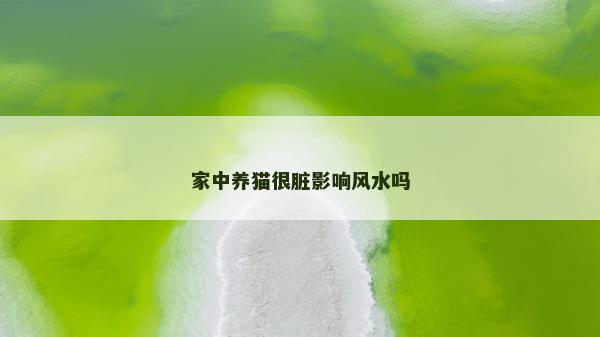 家中養貓很臟影響風水嗎