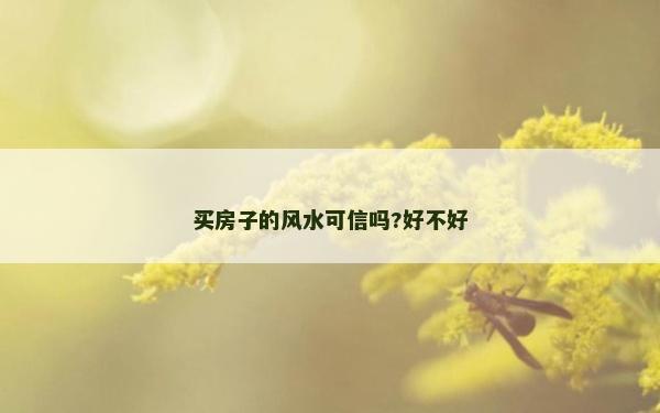 買房子的風水可信嗎?好不好