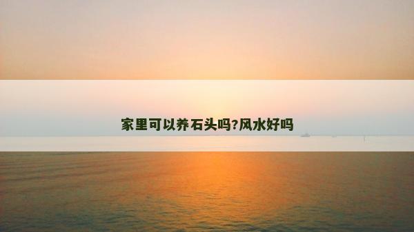 家里可以養石頭嗎?風水好嗎