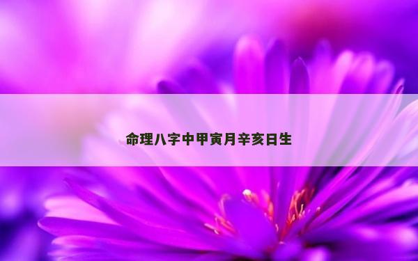 命理八字中甲寅月辛亥日生