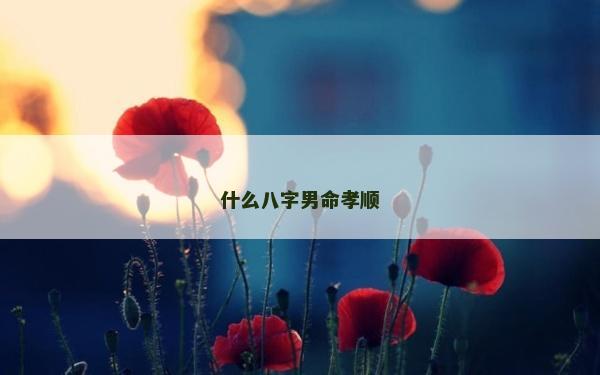 什么八字男命孝順