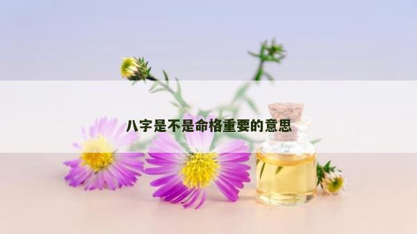 八字是不是命格重要的意思 八字是不是命格重要的意思