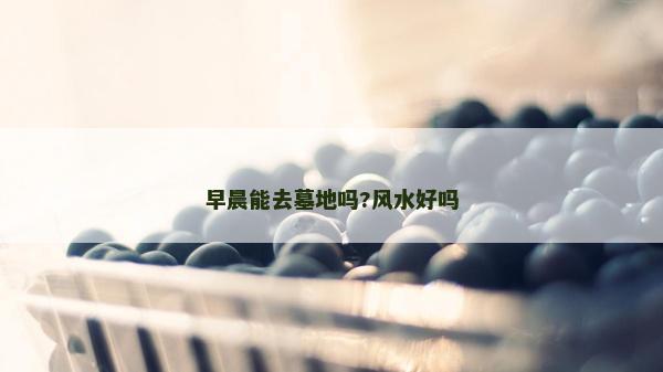 早晨能去墓地嗎?風水好嗎