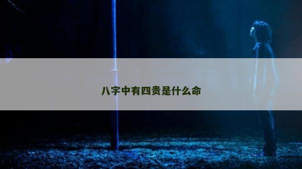 八字中有四貴是什么命