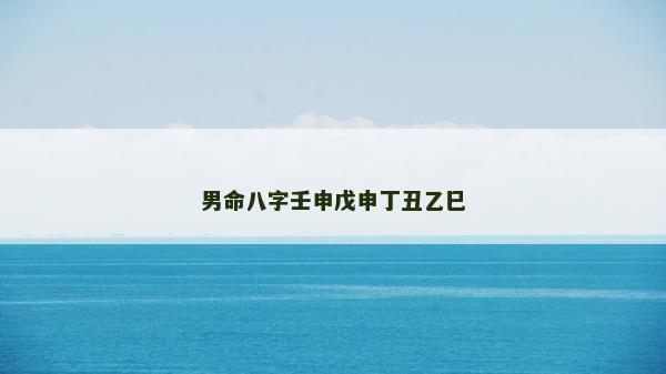 男命八字壬申戊申丁丑乙巳
