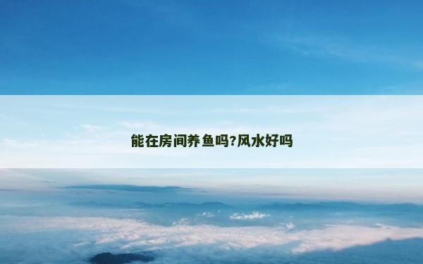 能在房間養(yǎng)魚嗎?風(fēng)水好嗎